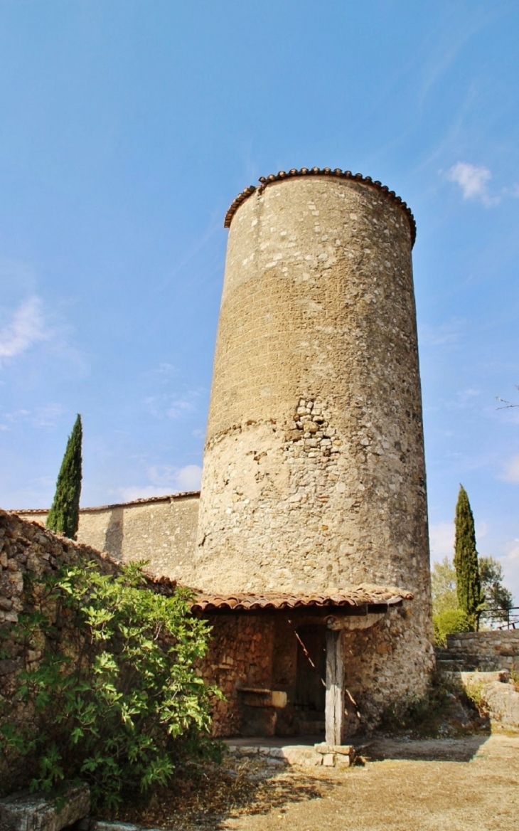 Ruines du Château - Pontevès