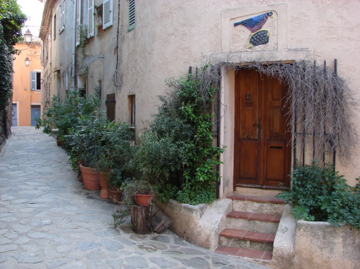 Dans les Rues du Village - Ramatuelle