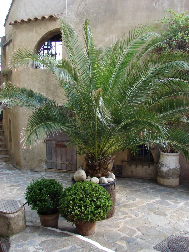 Dans les Rues du Village - Ramatuelle