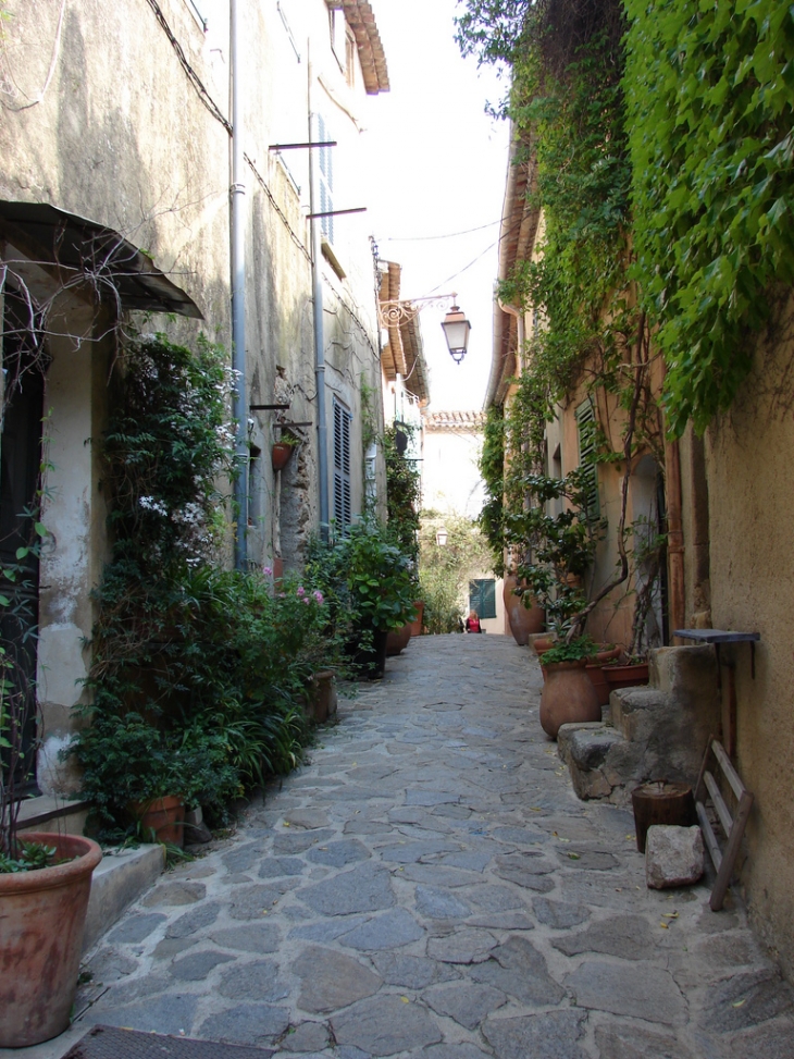 Dans les Rues du Village - Ramatuelle