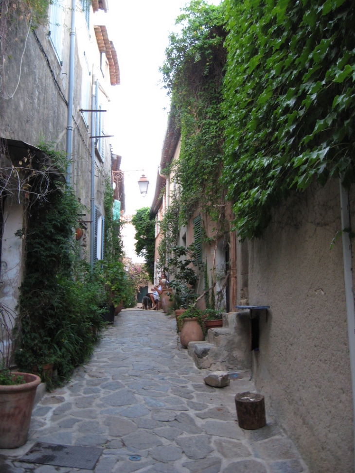 Petite ruelle - Ramatuelle