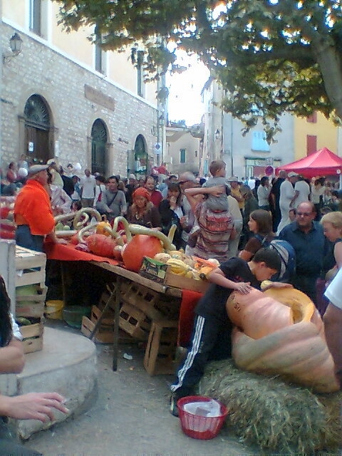 Fête de la courge - Rians