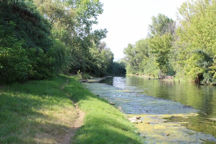 L'argens du moulin des iscles - Roquebrune-sur-Argens