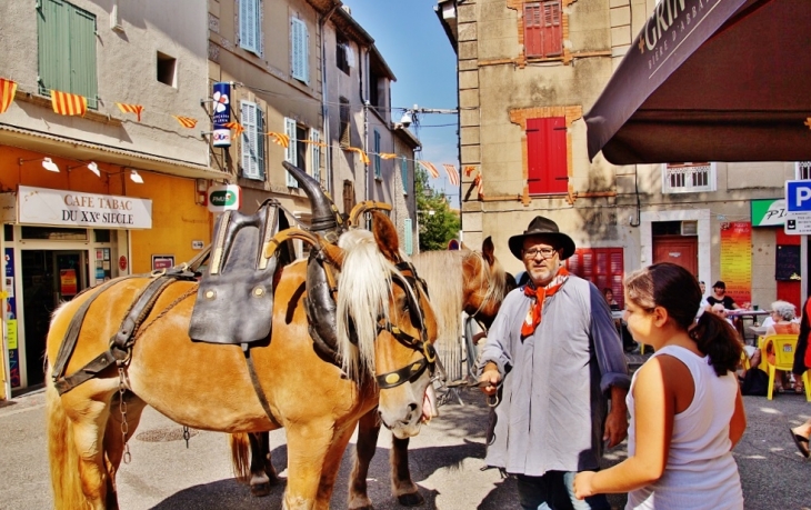 Le Village ( Fête du Poid-Chiche ) - Rougiers