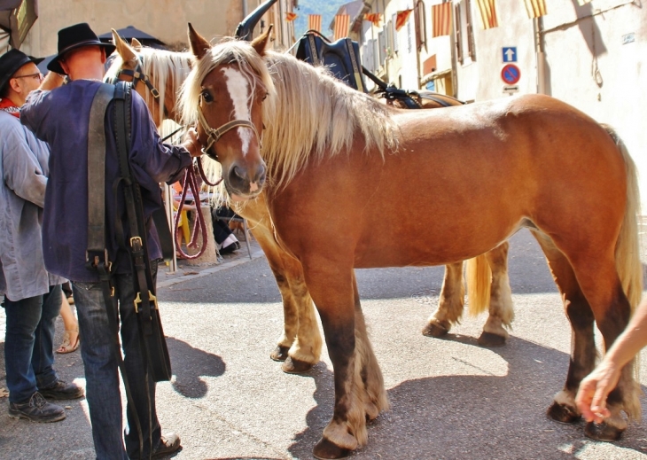 Le Village ( Fête du Poid-Chiche ) - Rougiers