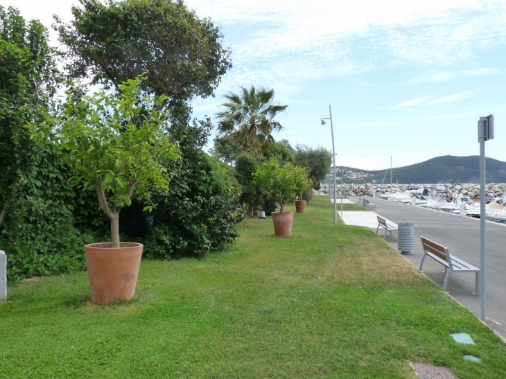 Sur le port des Lecques - Saint-Cyr-sur-Mer