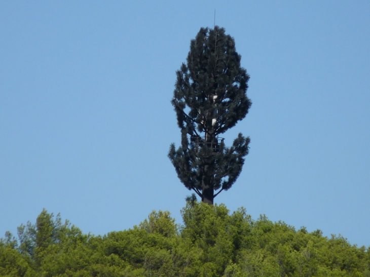 Un joli camouflage !!!! - Saint-Mandrier-sur-Mer