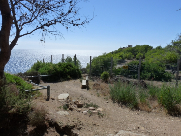 Sur le sentier du littoral - Saint-Mandrier-sur-Mer