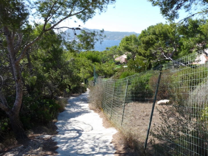 Sur le sentier du littoral - Saint-Mandrier-sur-Mer