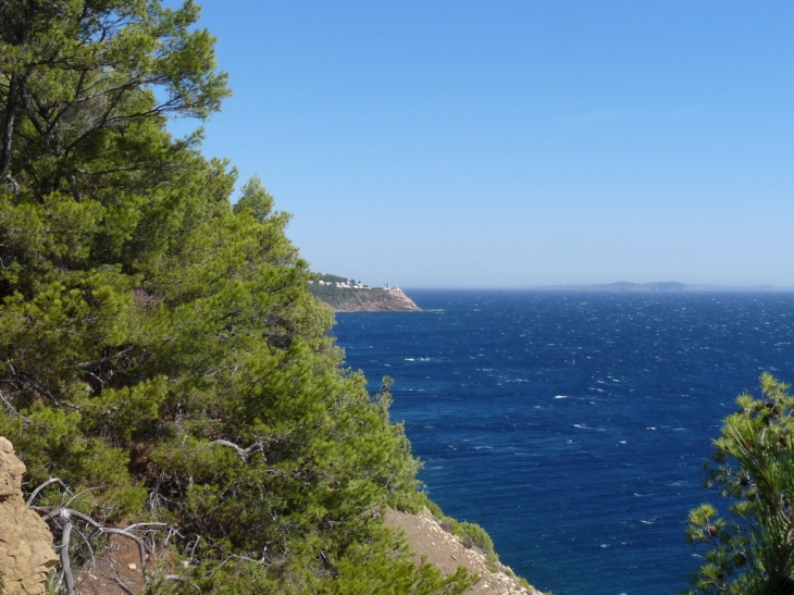 Sur le sentier du littoral - Saint-Mandrier-sur-Mer