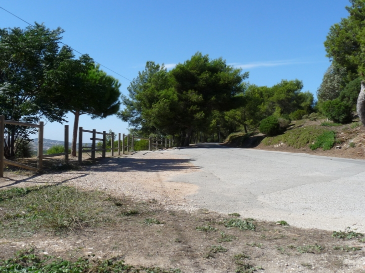 Au sommet de la colline à la renardière - Saint-Mandrier-sur-Mer