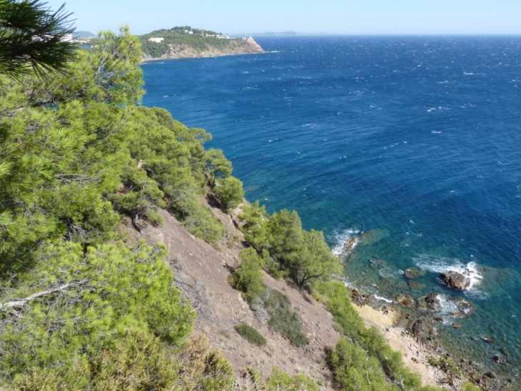 Sur le sentier du littoral, vers la plage de la Coudoulière - Saint-Mandrier-sur-Mer