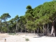 Photo suivante de Saint-Mandrier-sur-Mer Plage et pinède à Sainte Asile