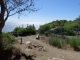 Photo suivante de Saint-Mandrier-sur-Mer Sur le sentier du littoral