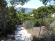 Photo suivante de Saint-Mandrier-sur-Mer Sur le sentier du littoral