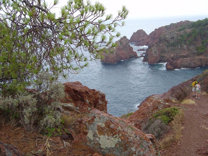 La côte - Saint-Raphaël