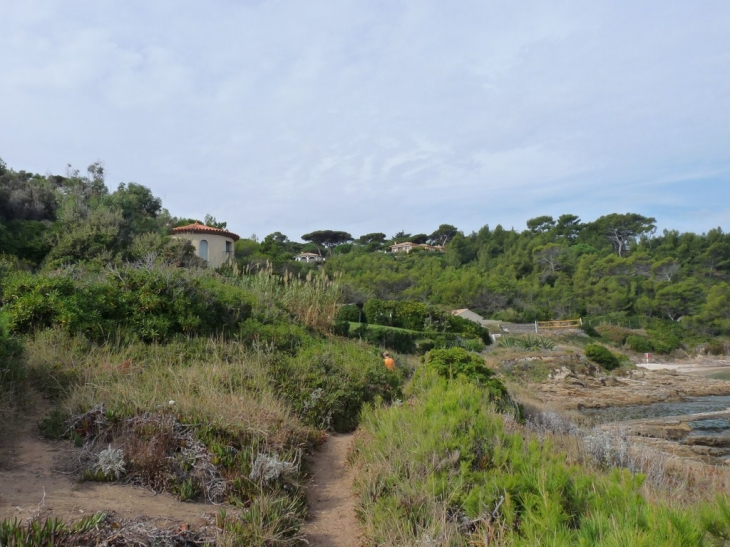 Sur le sentier du littoral, de la plage des salins à la plage de l'estagnet - Saint-Tropez