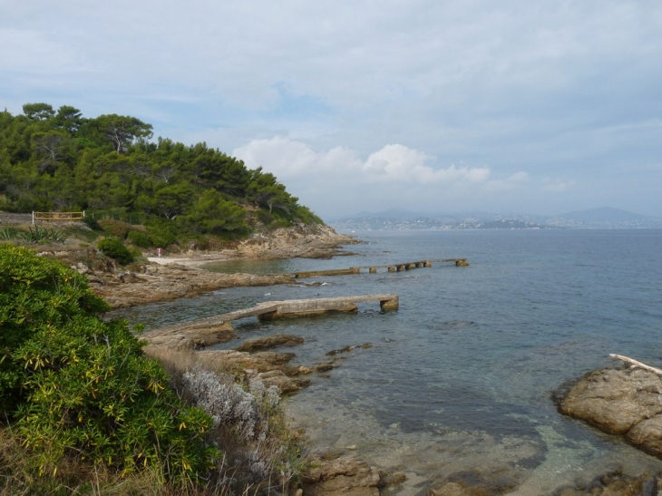 Sur le sentier du littoral, de la plage des salins à la plage de l'estagnet - Saint-Tropez