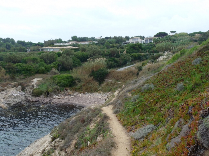 Vers la pointe de la rabiou - Saint-Tropez