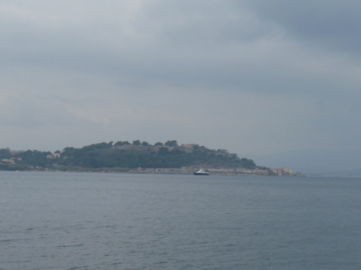 Saint tropez vue de la pointe du cap Saint pierre - Saint-Tropez