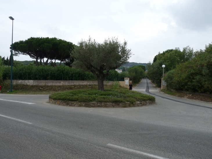 Sur la route des Salins - Saint-Tropez