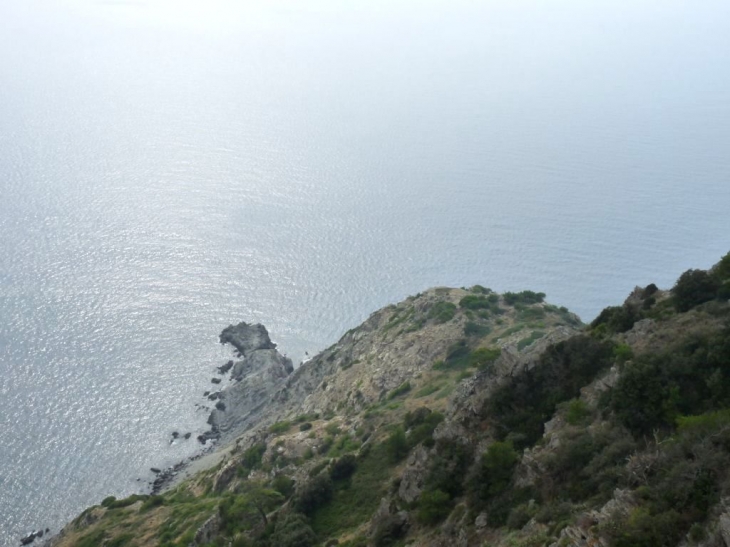 La pointe du Cap Vieux - Six-Fours-les-Plages