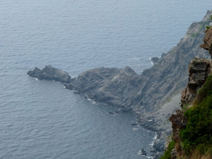 La pointe du Cap Vieux - Six-Fours-les-Plages