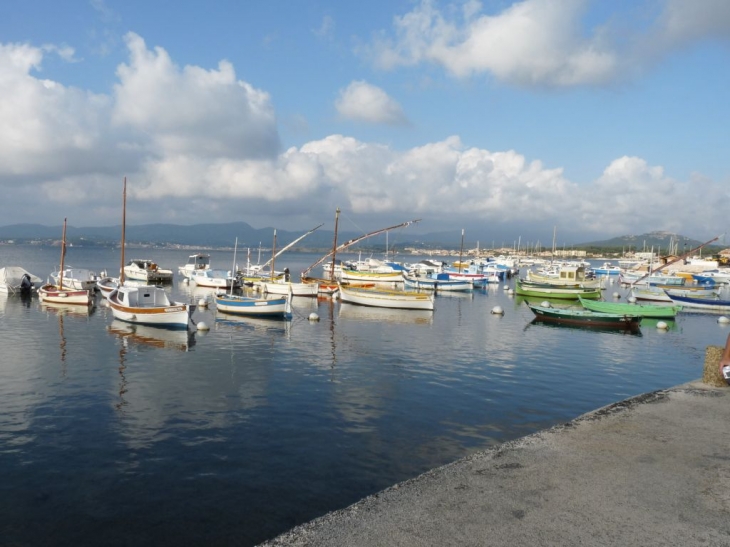 La rade du Brusc - Six-Fours-les-Plages