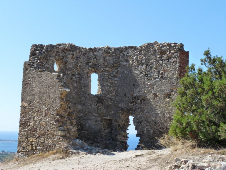 Dans la montée vers le fort - Six-Fours-les-Plages