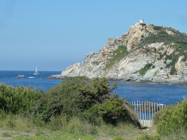 Sentier côtier de la presqu'île de Gaou : vue sur la tour marine de l'ile des Embiez - Six-Fours-les-Plages