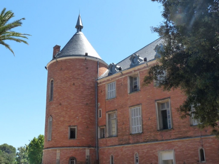 Le  chateau - Solliès-Pont