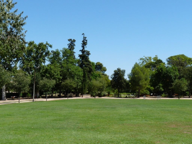 Dans le parc du chateau - Solliès-Pont