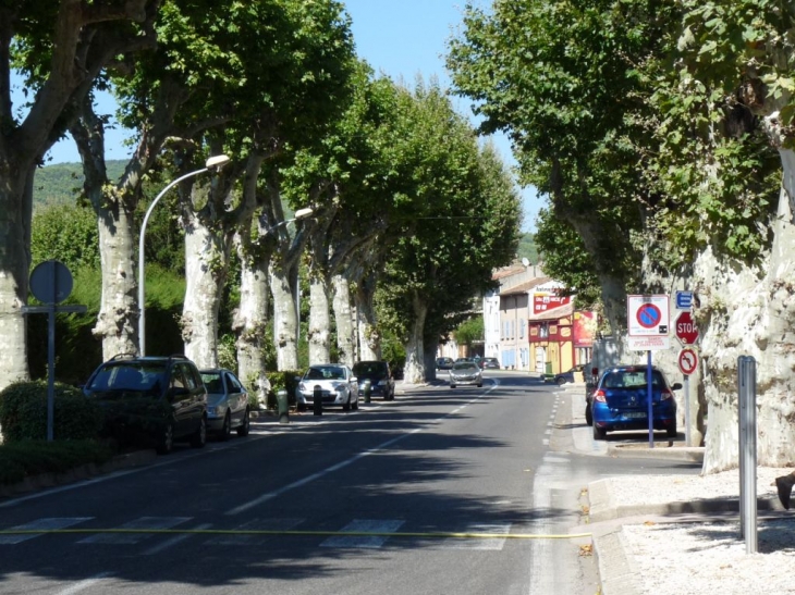 Route de Cuers - Solliès-Pont