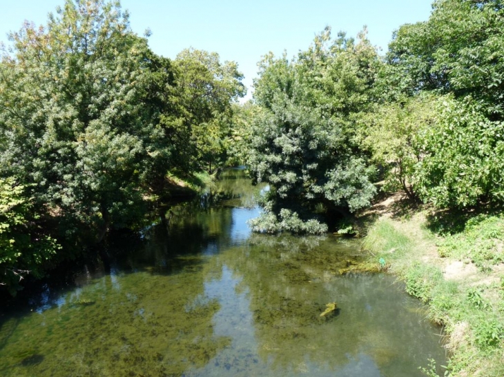 Le Gapeau - Solliès-Pont