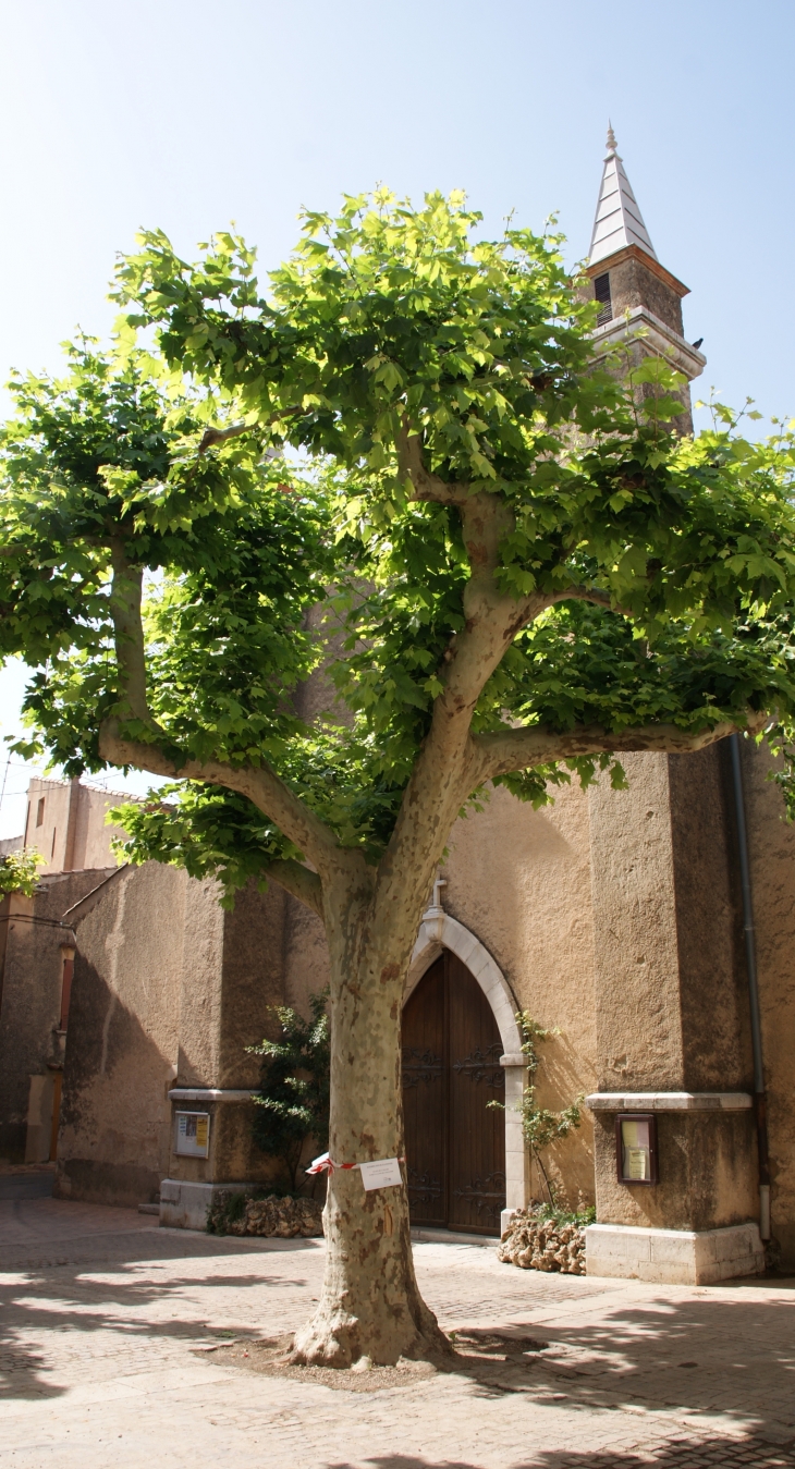 >église Saint- Cassien - Tavernes