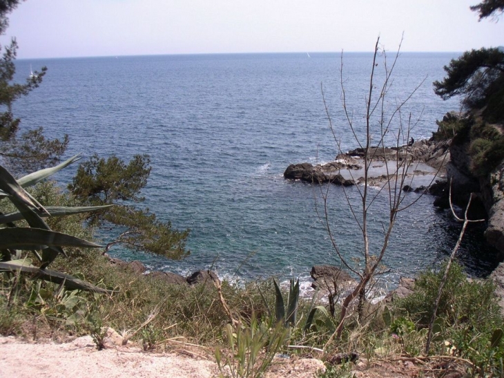 La mer vue du Sentier des Douaniers - Toulon