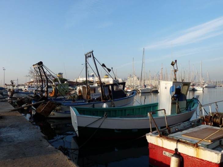 Le port de peche - Toulon