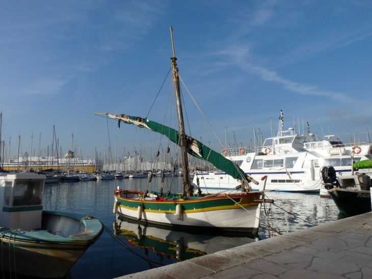 Sur le port  - Toulon