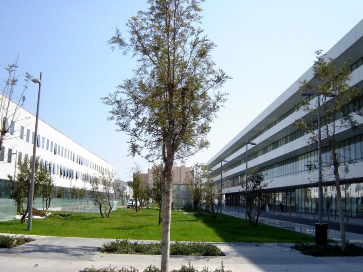 Le nouvel hopital Sainte Muse - Toulon