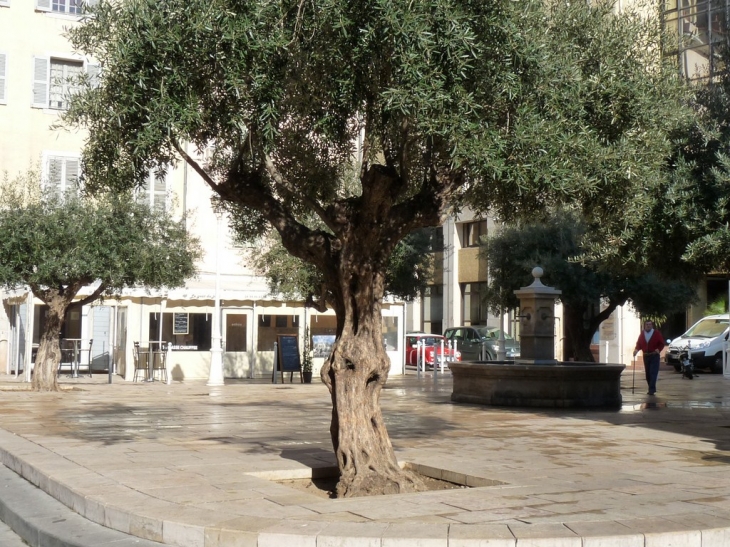 Place à l'Huile - Toulon