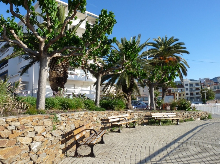 Quai belle rive au Mourillon - Toulon