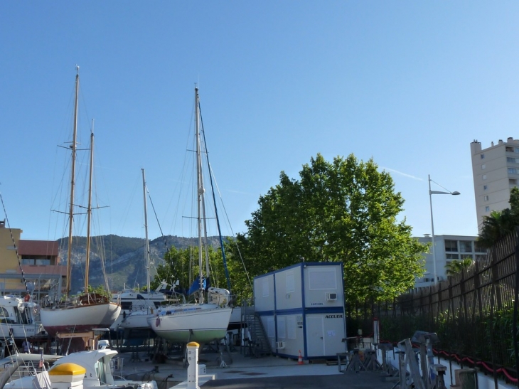 Le-port de plaisance - Toulon