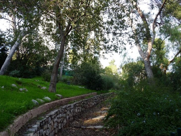 Sur l'avenue François Cuzin - Toulon