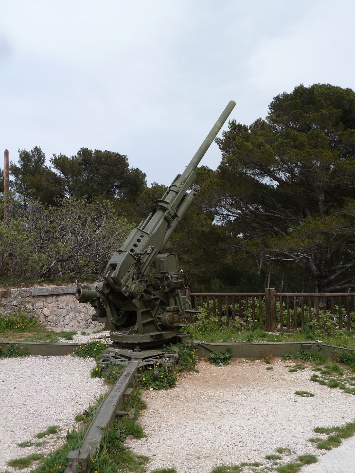 Musée militaire - Toulon