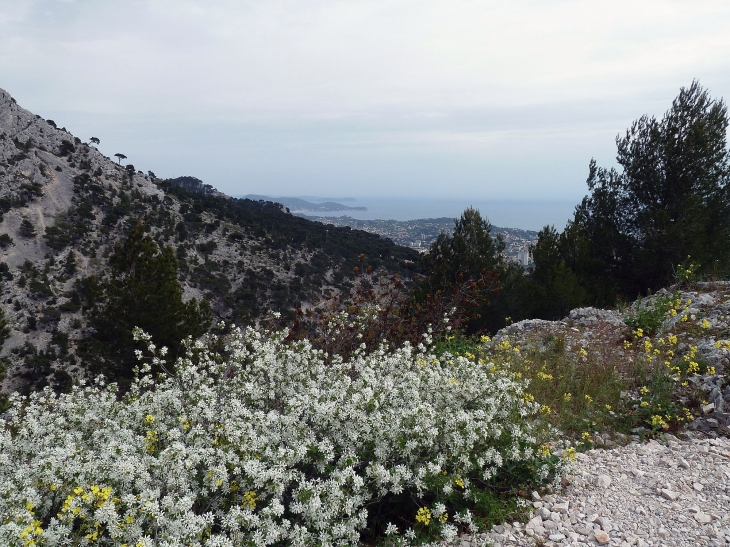 Vue du mont Faron - Toulon