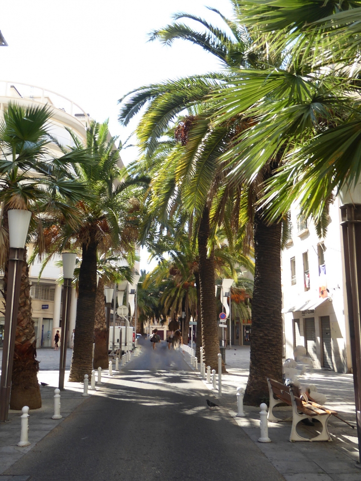 Rue d'Alger - Toulon