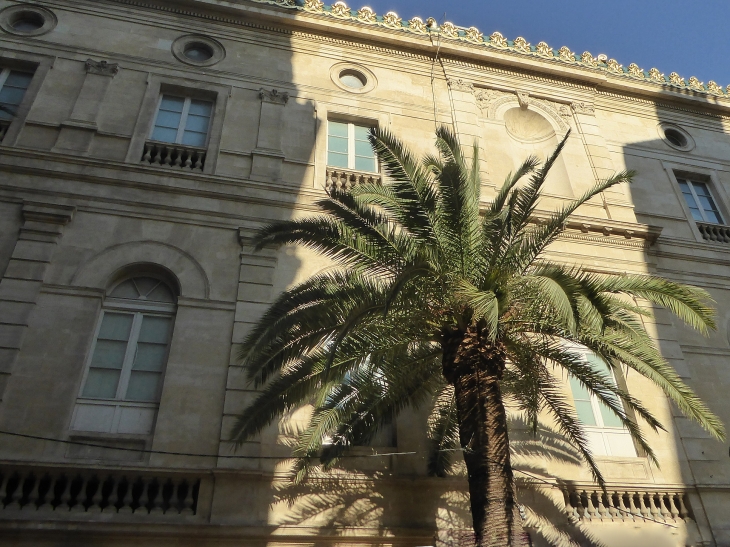 Le théâtre opéra - Toulon