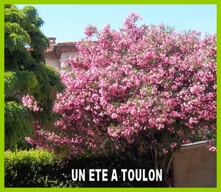 ETE A TOULON