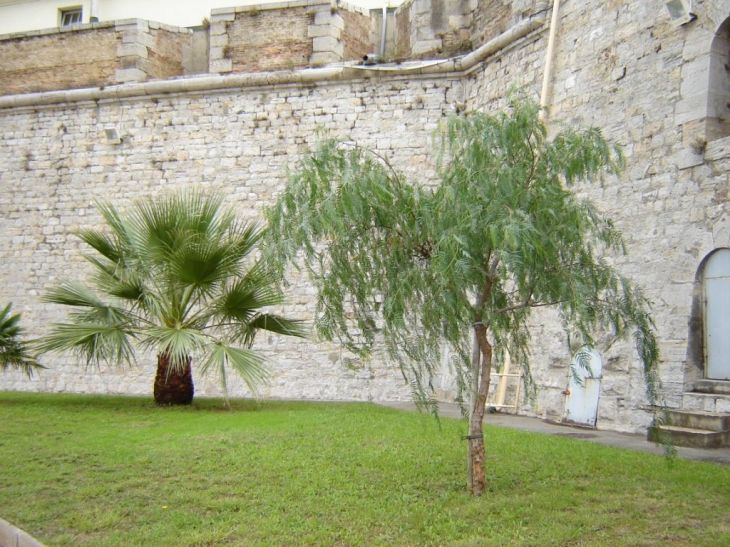  A l'intérieur du Fort Lamalgue - Toulon