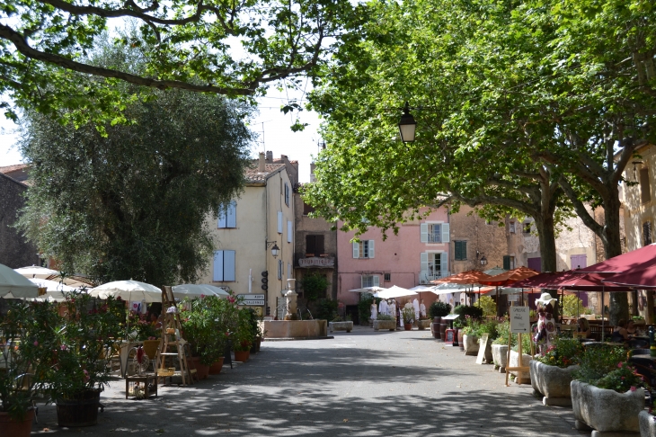  Place des Ormeaux - Tourtour